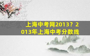 上海中考网2013？2013年上海中考分数线