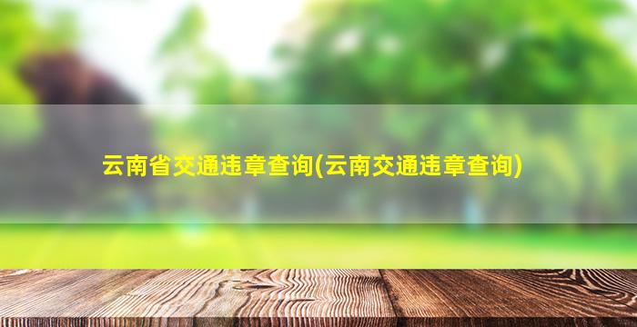 云南省交通违章查询(云南交通违章查询)