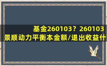 基金260103？260103景顺动力平衡本金额/退出收益什么意思