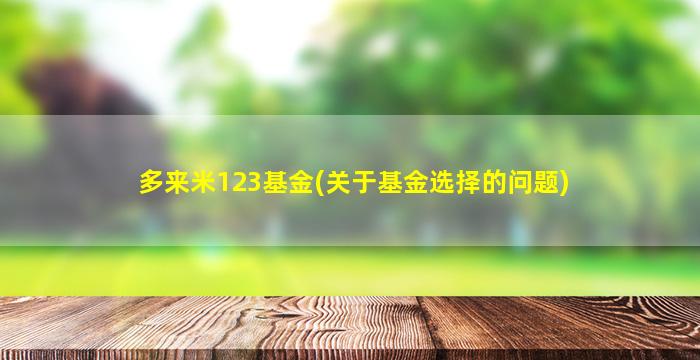 多来米123基金(关于基金选择的问题)