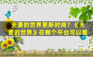 夫妻的世界更新时间？《夫妻的世界》在哪个平台可以看