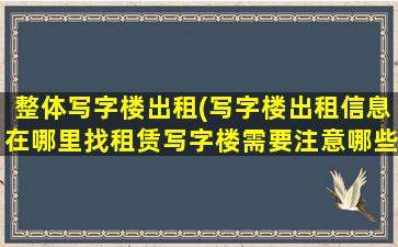 整体写字楼出租(写字楼出租信息在哪里找租赁写字楼需要注意哪些事项)