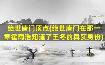 绝世唐门顶点(绝世唐门在那一章霍雨浩知道了王冬的真实身份)