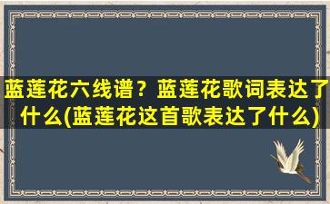 蓝莲花六线谱？蓝莲花歌词表达了什么(蓝莲花这首歌表达了什么)