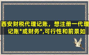 西安财税代理记账，想注册一代理记账*或财务*,可行性和前景如何