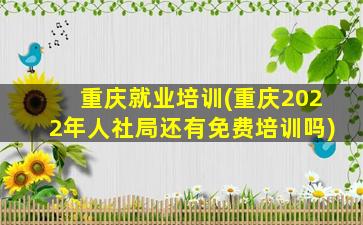 重庆就业培训(重庆2022年人社局还有免费培训吗)